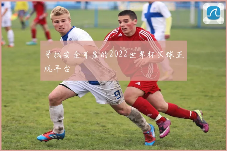 寻找安全可靠的2022世界杯买球正规平台