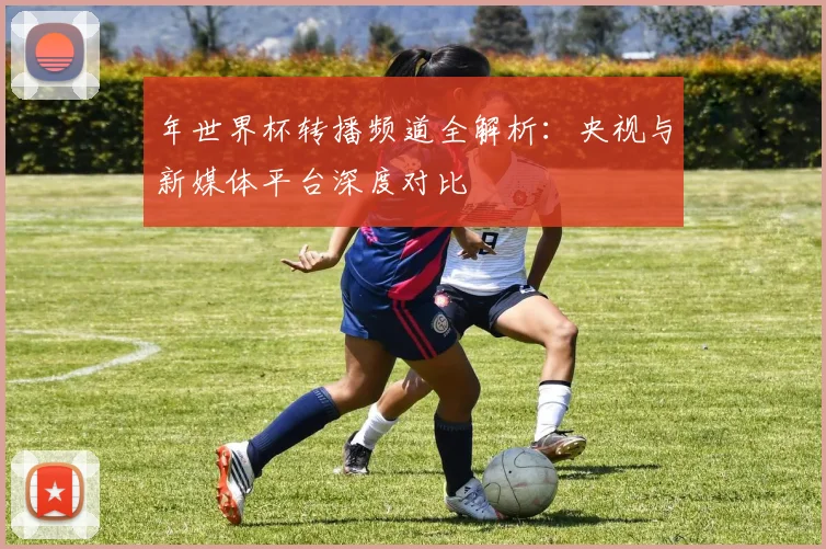 年世界杯转播频道全解析：央视与新媒体平台深度对比
