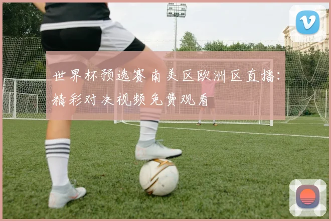 世界杯预选赛南美区欧洲区直播:精彩对决视频免费观看