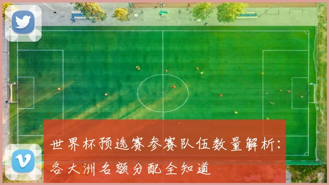 世界杯预选赛参赛队伍数量解析:各大洲名额分配全知道