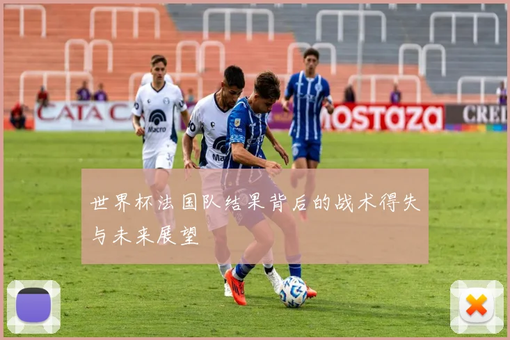 世界杯法国队结果背后的战术得失与未来展望