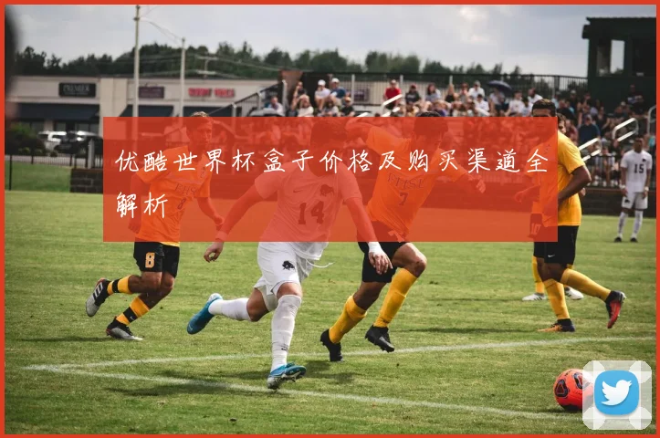 优酷世界杯盒子价格及购买渠道全解析