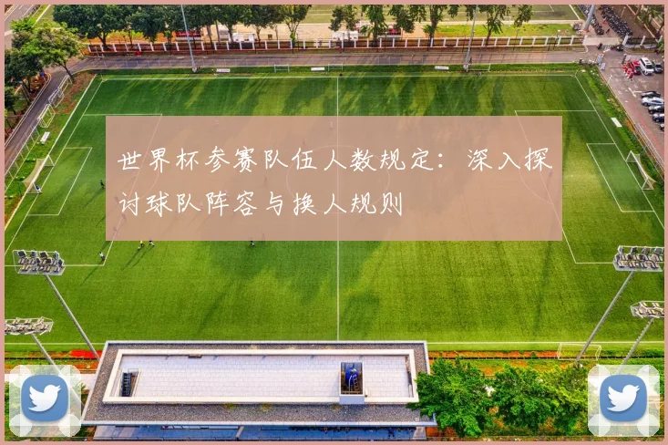世界杯参赛队伍人数规定：深入探讨球队阵容与换人规则