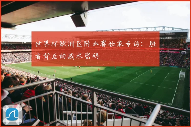 世界杯欧洲区附加赛独家专访：胜者背后的战术密码