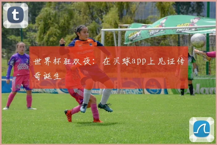 世界杯狂欢夜：在买球app上见证传奇诞生